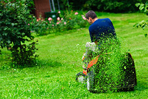 Landscape Maintenance